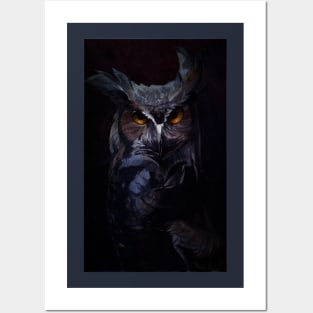 Owl Posters and Art